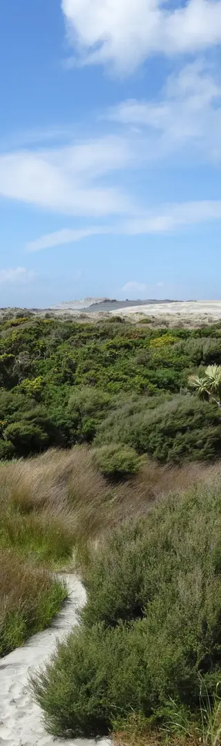 Cape Farewell